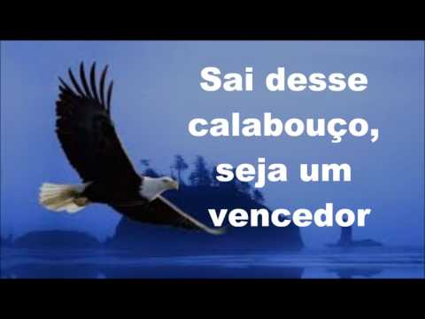 Livre pra Voar video