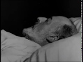 Guns Of August - Excerpt (1965)