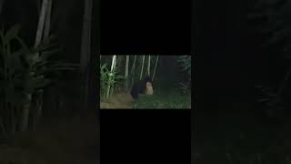 Download lagu wanita cantik wik wik dengan sosok mahluk hitam#kujanggaluh #gendingmisteri #amar12chanel mp3 Download lagu wanita cantik wik wik dengan sosok mahluk hitam#kujanggaluh #gendingmisteri #amar12chanel mp3