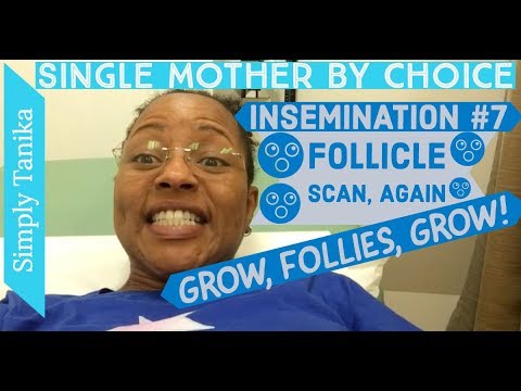 Insemination #7 Follice Scan, Again | Grow, Follies, Grow! Video