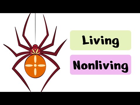 Living and Nonliving Things Quiz | Quiz for Kids | Science Quiz for Kids