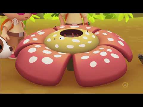 Leo az ifjú vadőr - A maláj medve