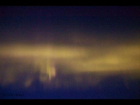 Nemesis Theory--Rose At Nightfall