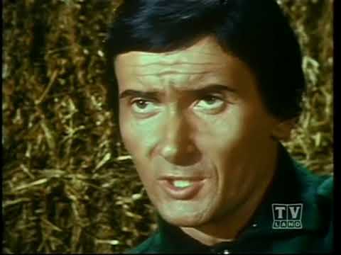 The Forest Rangers- The River