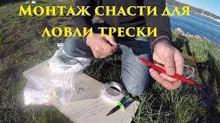Где и на что ловить треску