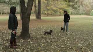 Introducing Dogs to Each Other | Teacher's Pet With Victoria Stilwell