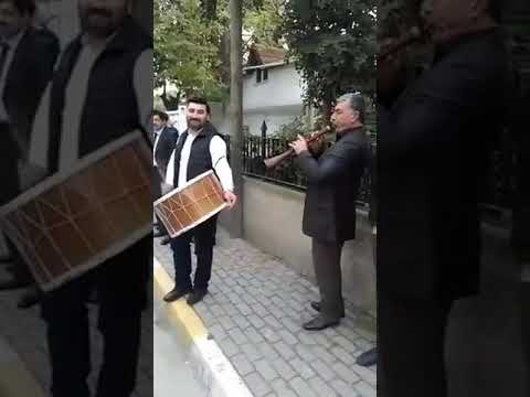Erik dalı gevrektir sivas