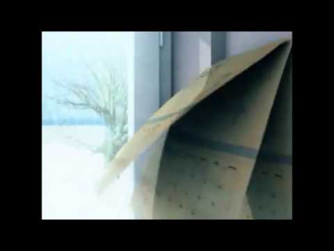 Mylla Karvalho - Companhia do Calypso