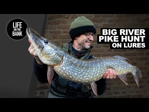 PIKE FISHING WITH LURES - Big River Pike Hunt (Part 1)