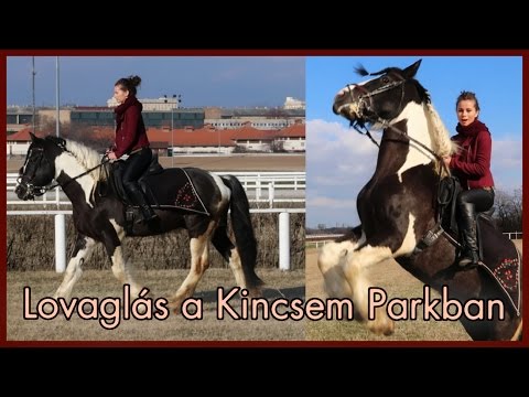 pénisz lovaglás