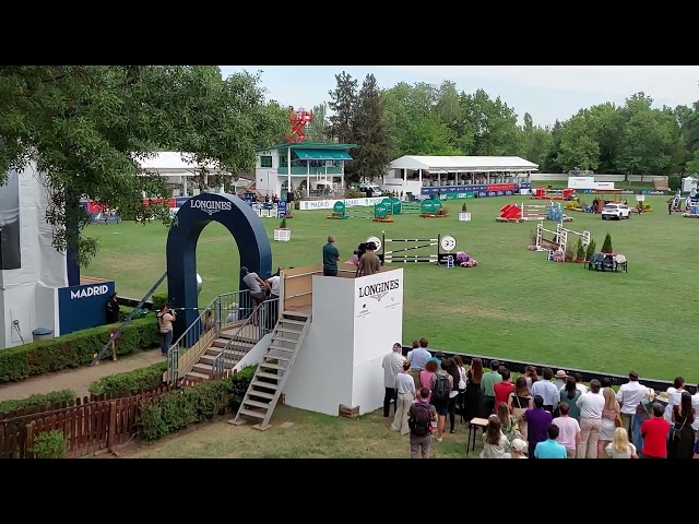 The half-brother of the Great-grandmother is the CSI 5* 1.65m Stallion Malibu de Muze with rider Sergio Alvarez Moya.