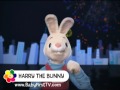 Happy New Year Harry The Bunny BabyFirstTV