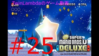 [ゲーム実況配信]雪のステージめっちゃすべるな。　NewスーパーマリオブラザーズUデラックス 25
