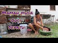 Tante Mencuci Sepatu Mamah Muda Cuci Sepatu Cd Kelihatan