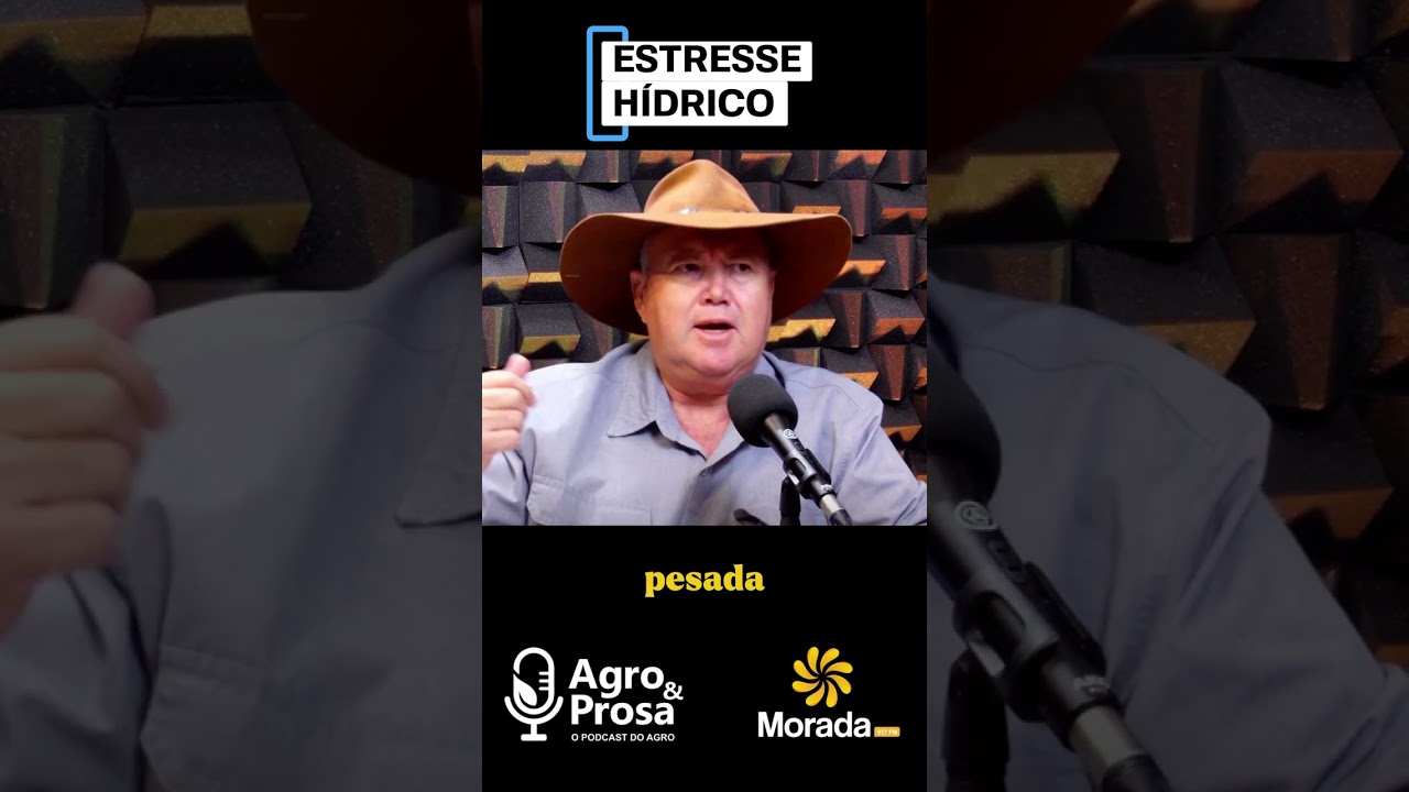 Como Proteger a Lavoura do Estresse Hídrico Antes da Murcha?