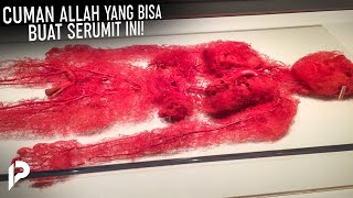 Download lagu Human body Dissassembled by the Al-Qur’an Until Scientists Confess mp3 Download lagu Human body Dissassembled by the Al-Qur’an Until Scientists Confess mp3