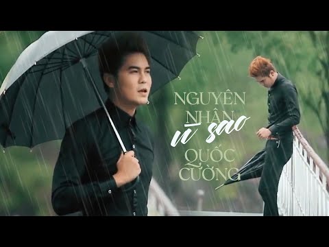 Nguyên nhân vì sao - Quốc Cường