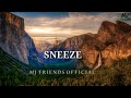 Best Notification RingTones 2022 SNEEZE Notification Sound World S Best Notification Ringtone