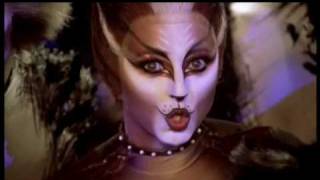 What Have You Done? - Macavity, Alonzo and Cassandra