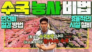 수국 농사 인건비를 줄이는 획기적 방법?! 효율적인 수국 정원 만들기 TIP. (※ 스포주의 ※ 향기나는 수…
