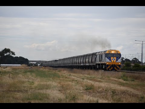 Rail Action in Adelaide with 4 different Rail Companies 23/11/21  SCT, Pac Nat, RailFirst & OneRail
