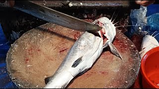 Download lagu 🔴Uzzal Fish Cutting Live Now!!All Fish Cutting Skills🐠 🔪🔪🐠#short #shortfeed #2ufc#fish#vairal. mp3