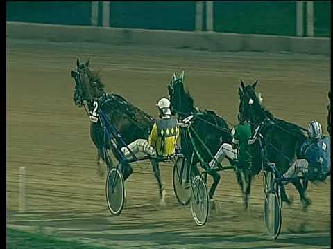 Trotto 29/09/2017 - 7ª corsa