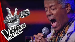 Luther VanDross - A House is not a Home (Michael Dixon) | The Voice Senior | Audition | SAT.1