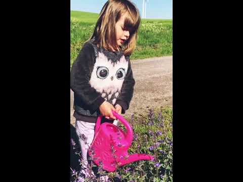 Installera en vattentunna