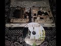 2 Bold 2 Cold By XO Creep