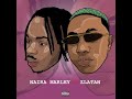 Naira Marley Illuminati Ft Zlatan