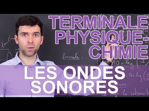 Intensité sonore et atténuation