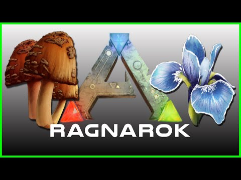 Labeled Ark Ragnarok Map Steam Community Video Ragnarok Flowers Mushrooms Silk Fiber