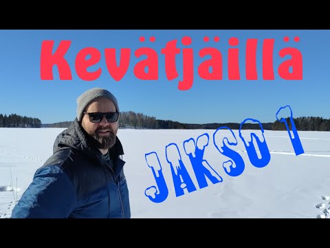Kevätjäillä isoa ahventa metsästämässä | Jakso 1