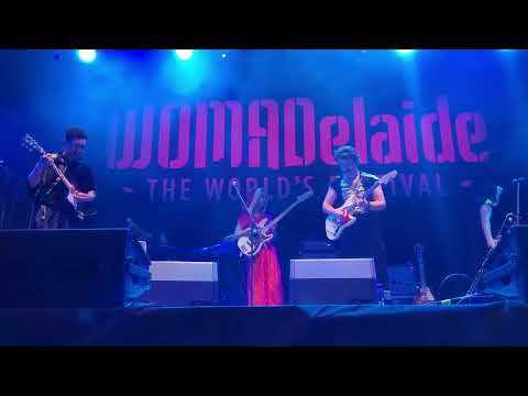 The Shaolin Afronauts at WOMADelaide 2022
