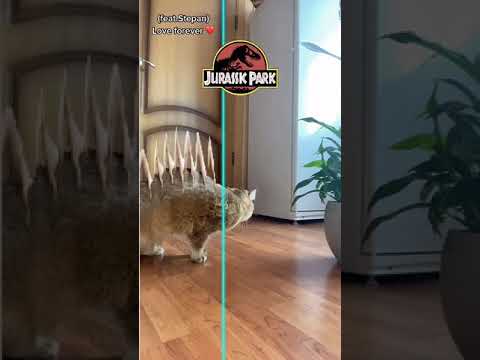 Welcome to JURASSIC PARK