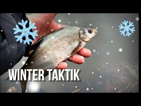 Successful even in winter! This tactic almost always works