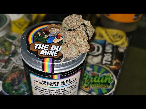 The Bud Mine, Muffin Man Cut, Concious Genetics, Organic UK Prozecco,review, grandaddydanks, rsosos