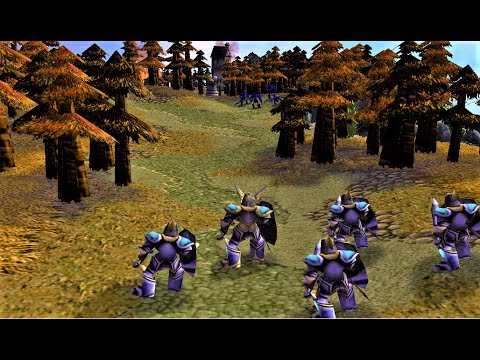 Warcraft 3: Life Of A Captain 01 - The Granaries