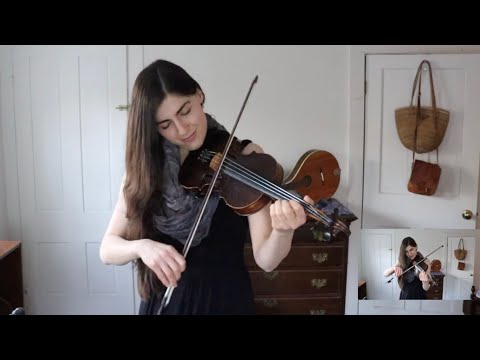 RED-HAIRED BOY ✨ Traditional Irish melody