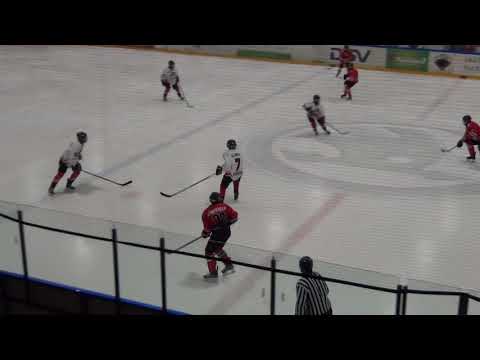HC Panter D – HC Vipers D  0:12 (0:1 ; 0:3 ; 0:8)  08.11.2017