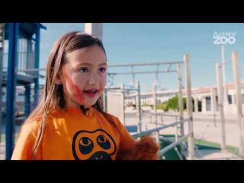 Zoo Tales - Orange Day for Orangutans