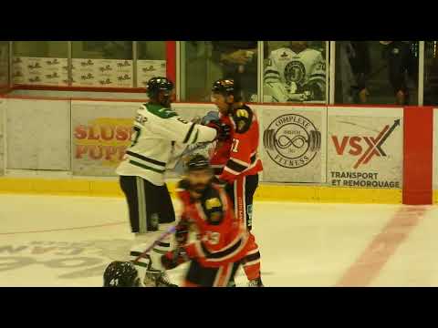 LNAH Danick Malouin et Donald Brashear samuse