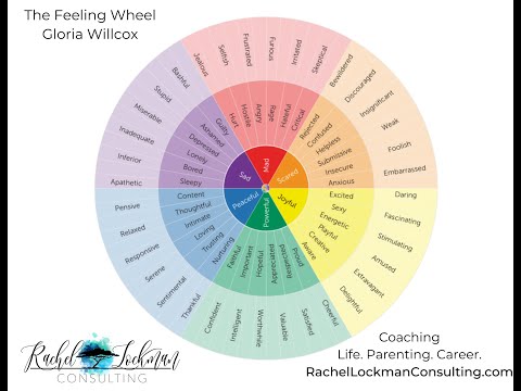 The Feelings Wheel