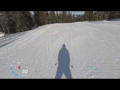 Trysil Ski - Red 53 and Green 36