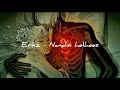 Erkz Nandin Helhees CC Audio