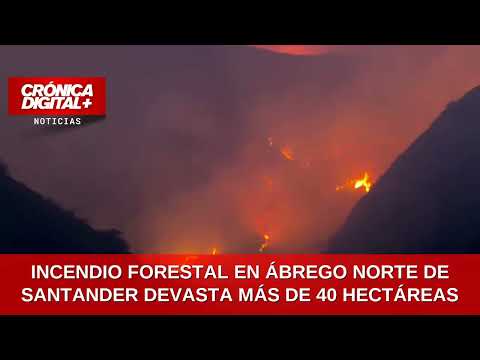 INCENDIO FORESTAL EN ÁBREGO NORTE DE SANTANDER DEVASTA MÁS DE 40 HECTÁREAS