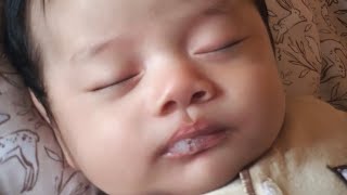 Rocket Rumble Gameplay