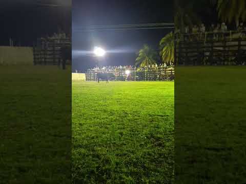 TIBOLON 2025 JUEVES 25 DE DICIEMBRE RANCHO SAN PEDRO GUADALUPE