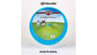 Kaytee Comfort Wheel Giant 12 Inches Review: Is It Worth the
